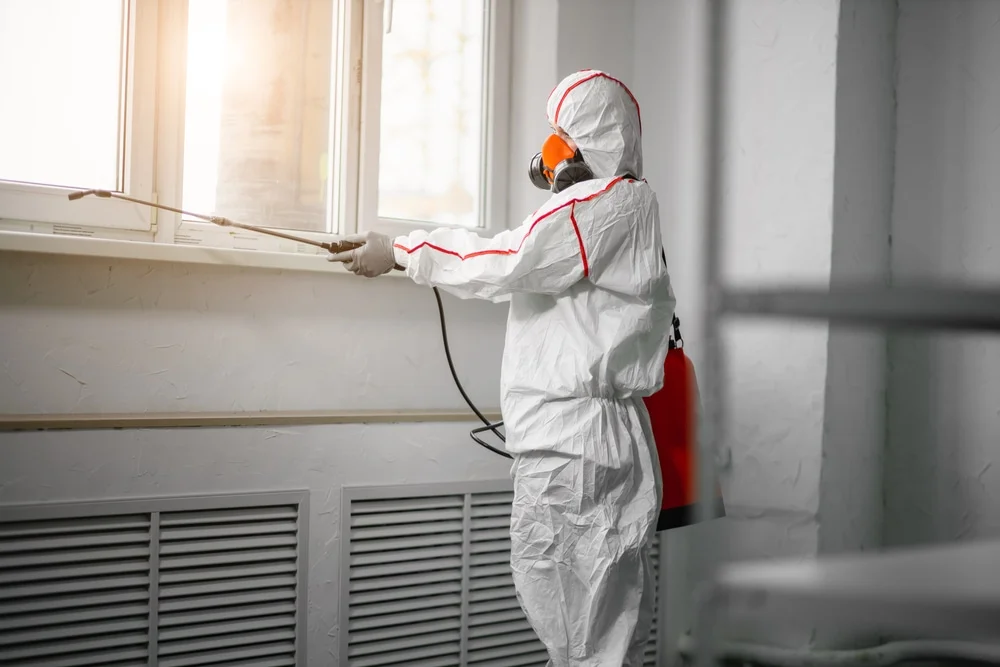 Professional mold remediation services in Cordova, AL